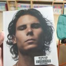 표선생활체육관 테니스장 이미지