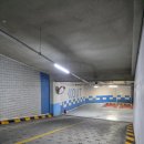 하태흥반려동물의료센터 | 부천동물병원 슬개골탈구 십자인대 수술, 건강검진전문 24시옥길아라동물의료센터 강아지 건강검진 후기