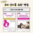 태화동물병원 | 울산 태화동물병원 -고양이 비만 왜 위험한지 전문 수의사가 알려드립니다.