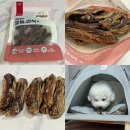 펫플러스라이프 이미지