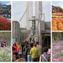 옥정호로 이미지