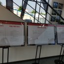 강릉 더퍼스트 이미지