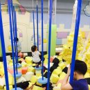 점핑스파이더 운정 이미지