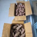 하이파크1로91 | 일산 탄현역 맛집 비치노에서 엄마 생신날 즐긴 피자&amp;파스타 후기