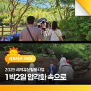 2026 세계유산활용사업 '1박2일 암각화 속으로' 생생 후기
