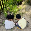 백석어린이집 | 고양시 어린이집, 나무를 키우는 햇살 단점?, 등록 전 부모님이 꼭 체크해야 할 3가지 (솔직 후기)