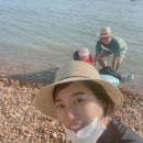 파리바게뜨(신안천사점) | [천사의 섬 신안] 몽돌바다캠핑장 - 초보캠핑, 여름캠핑, 프라이빗해변(스압주의)