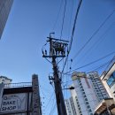 2346 | 대구 수성구 | 두쫀쿠(두바이쫀득쿠키) - 디베이크샵, 웨이팅 후기