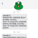 뉴해안풍경
