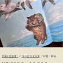 안녕고양이 이미지