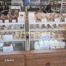 충청대로 | 🥐 청주 빵집 추천｜선제빵소 본점 방문 후기✨ 충청대로 빵지순례 필수 코스