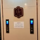 본좌랜드 | 충칭 중국여행 #01. 충칭소면二娃郡花面, 미니소랜드, 충칭에그타르트廣泰门鲜糕点, 관음교观音桥, 충칭...