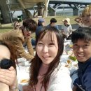 한강오리 이미지