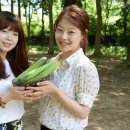대일농산물