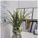 박사 행정사사무소 이미지