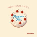 포포픽스 이미지