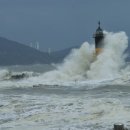 품 동물병원 이미지