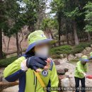구덕산 유아숲체험원 이미지