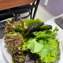 국화회관 이미지