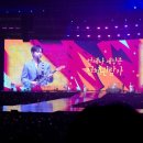 루시 아일랜드 막콘 후기 2026 LUCY 9TH CONCERT ISLAND 260517