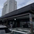 장안횟집식당 | 강릉 사천물회마을 풍자또간집 장안회집 솔직후기(주차/웨이팅)