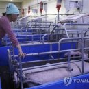 이선영농장 이미지