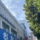 터미널종로약국 | 종로5가 온유약국에서 해외여행 상비약 구입하기! 가격 종류 후기