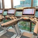 빠짐 피트니스 이미지