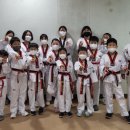 세계로태권도 이미지