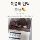 에밀리브론테의 폭풍의언덕 | 폭풍의 언덕 줄거리/ 결말/ 에밀리 브론테/ 고전 추천/ 소설 추천