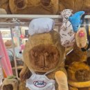 바다가 보이는 정원 | 강원도 속초바다가 한눈에 보이는 바다정원카페 가족, 친구,연인 데이트코스로 추천