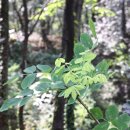 숲속에하루민박 이미지