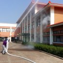 제철남초교 이미지