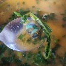 다슬기 | 명인 다슬기해장국 후기 올갱이국 맛보다