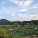 큐스포츠센터 이미지