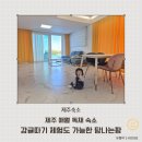 탐나는팜
