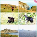 대항보건진료소 이미지