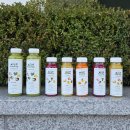 상지초 | 대전 클렌즈주스 디톡스주스 정기배송 선쉽 후기