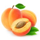 씨앗발전소 이미지