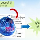 늘기쁨의료기 | 68세 당뇨합병증을 앓던 여성! 이것만 썼을 뿐인데..