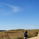 진생약국 | 순례길 부상방지 방법:신발•양말•등산스틱 실사용후기 및 추천,물집 예방,걷는 중 다리 아픔 대처