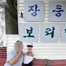 두돌 아기랑 국내여행 영월 동강시스타 후기 영월주민 맛집 꿀팁 방출