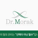 해충닥터