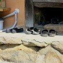 아침햇살 민박 이미지