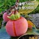 &#34;&#39;水山會&#39; 38회 &#39;하늘공원&#39; 서울억새축제길 산책&#34;＜2023.10.18(수)＞ 이미지