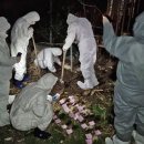 지사농장 이미지