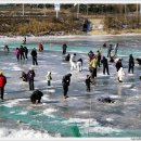 토고미마을 산천어축제 이미지