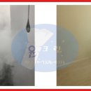 윤크린 이미지