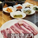 동일생고기 이미지