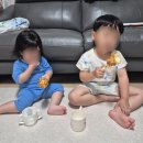 알집매트 모던 거실매트, 코지코튼L 구매 후기